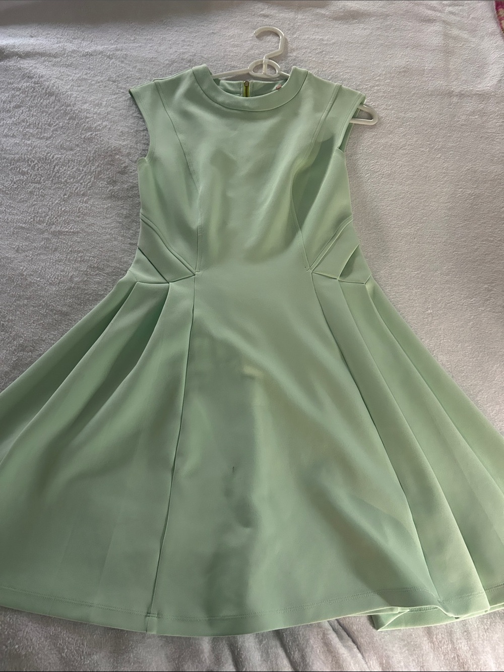 Ted Baker London Mint Green Fit-and-Flare Dress